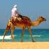 Agadir